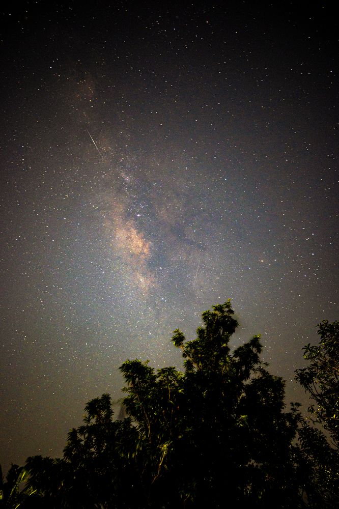 Photograph by GOVIND VISWANATH