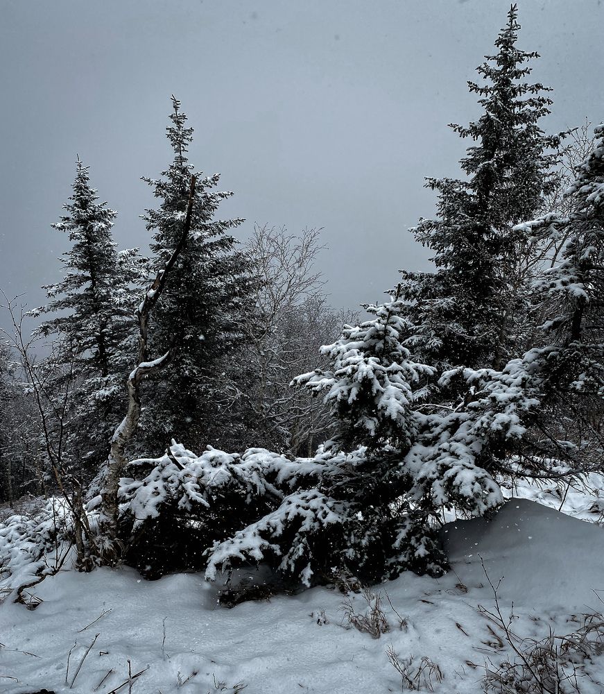 Photograph by Наталья Лобанова