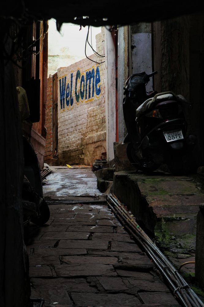 Photograph by Дарья