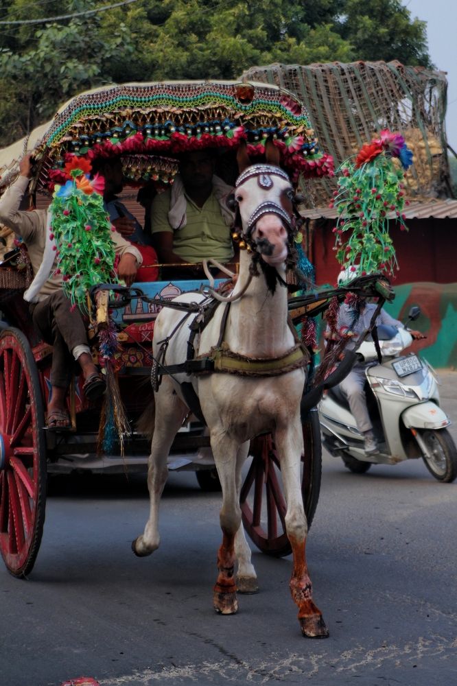 Photograph by Дарья