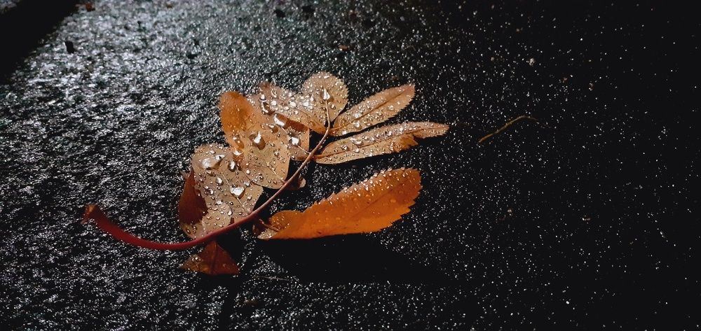 Photograph by Евгения Ульянова