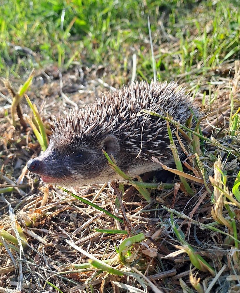 Photograph by Николай Худяков