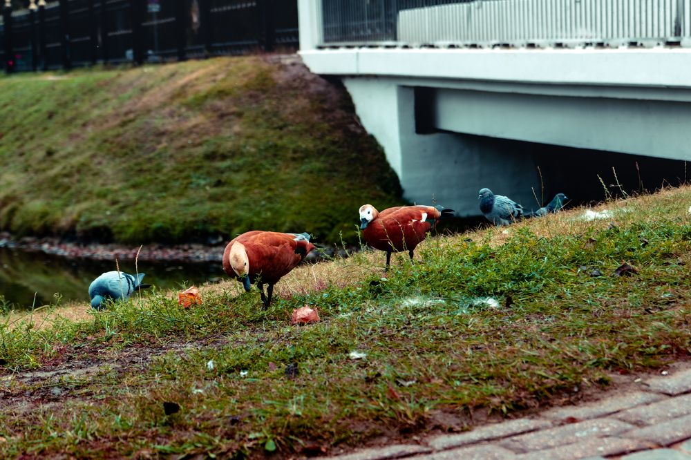 Photograph by Сергей Аникушин