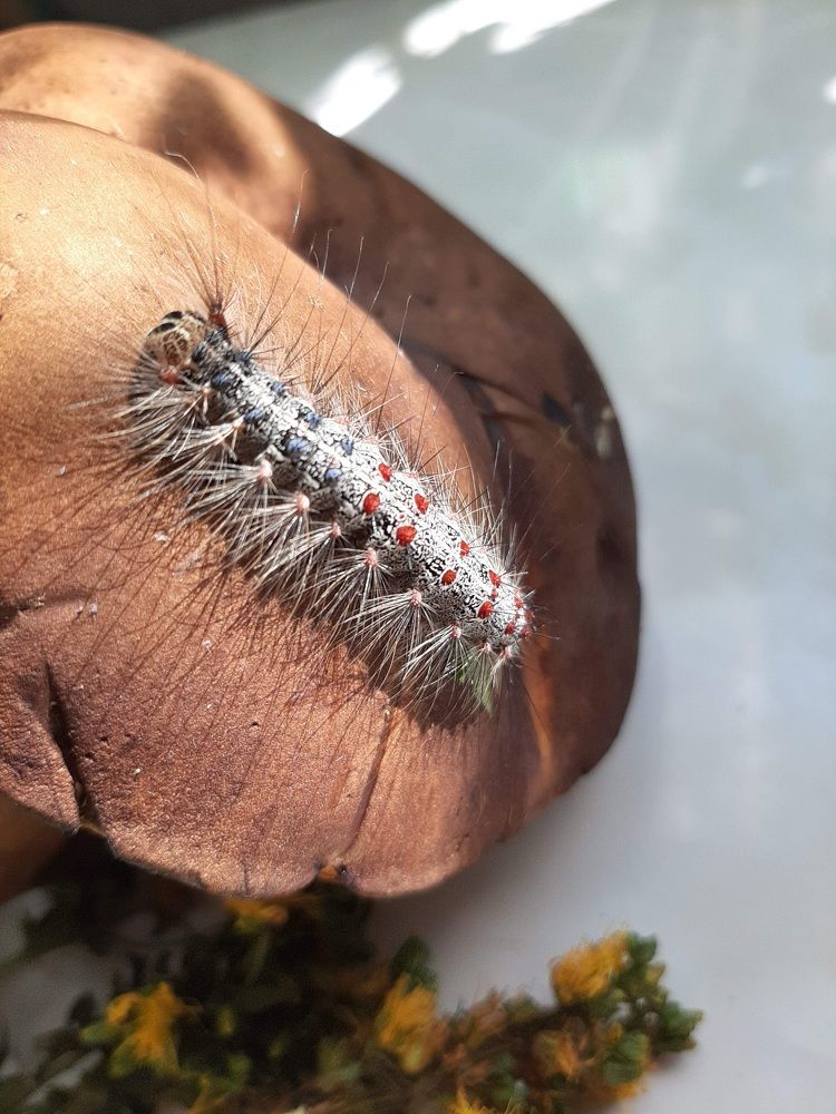 Photograph by Елена Горева