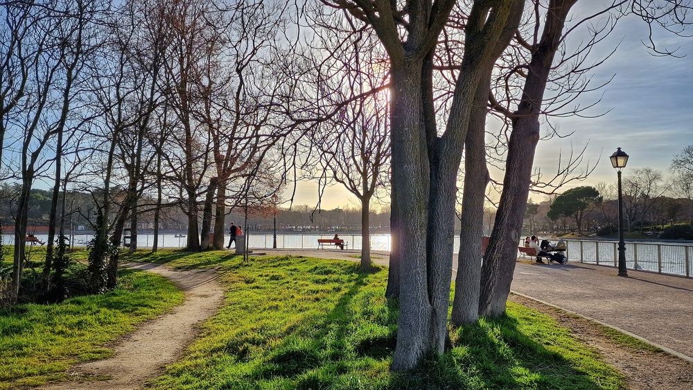 Casa de Campo's Lake (Madrid, Spain)