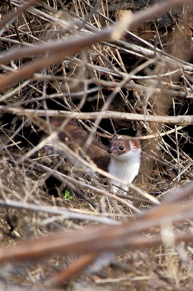 Photograph by Юрий Варюхин