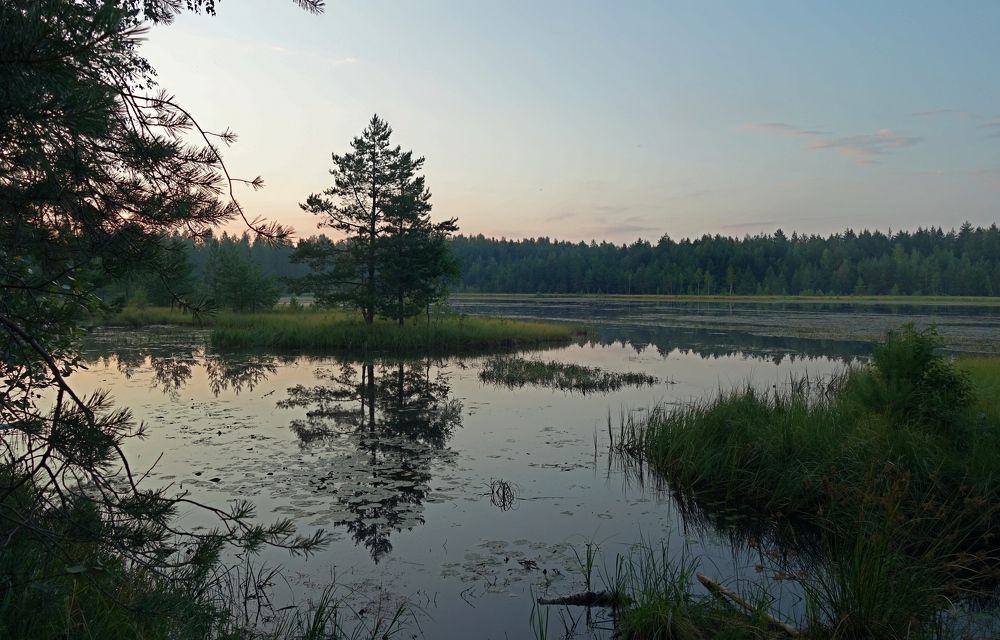 Photograph by Дмитрий