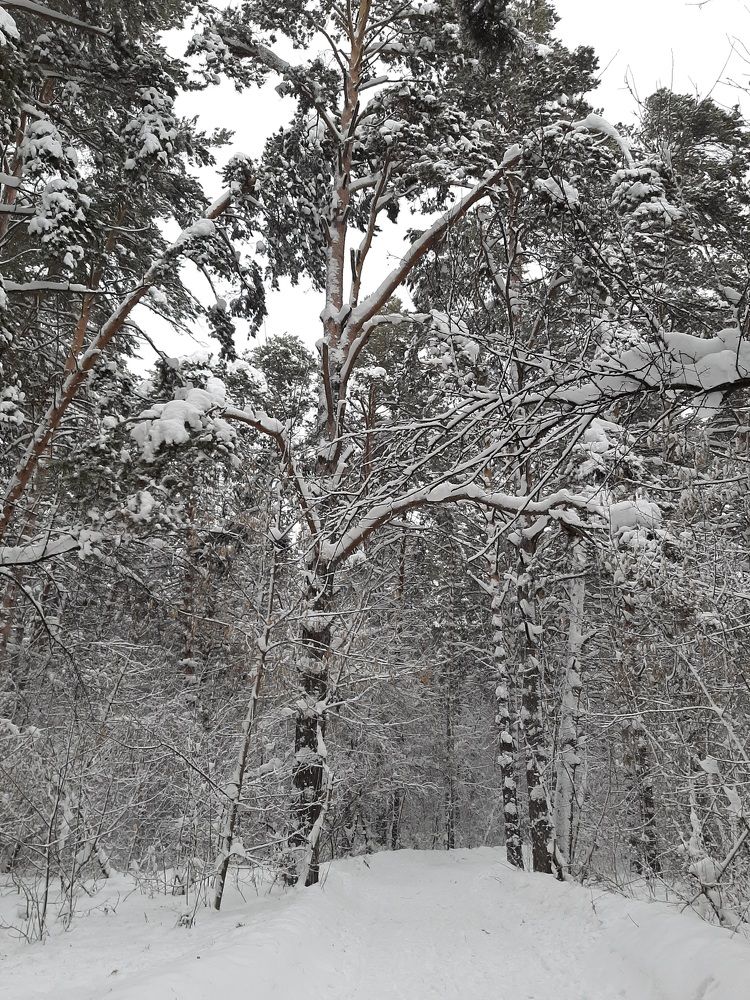 Photograph by Елена Горева