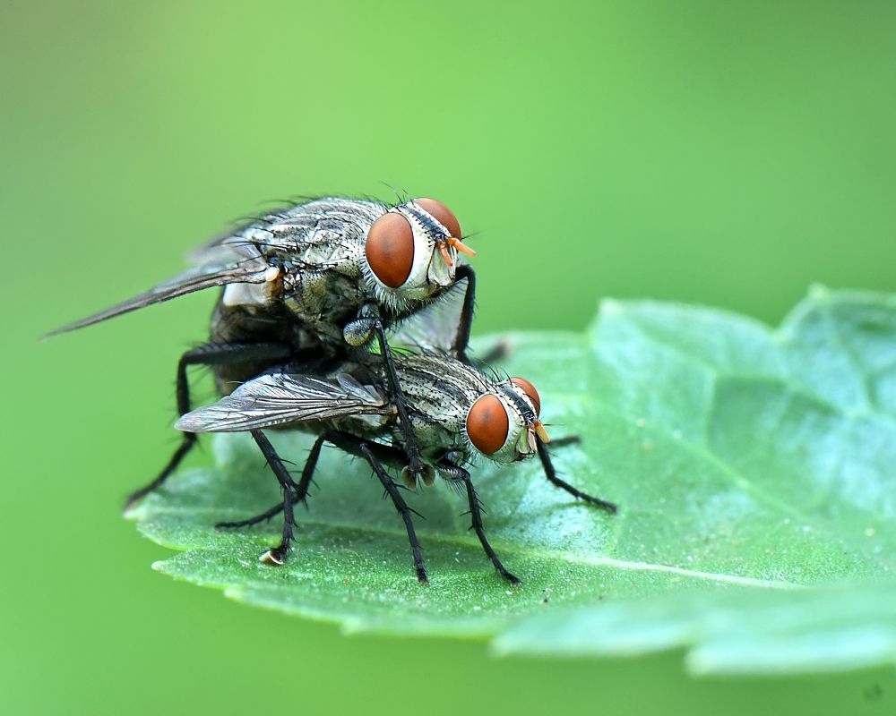 Photograph by Benjamine Dharashan