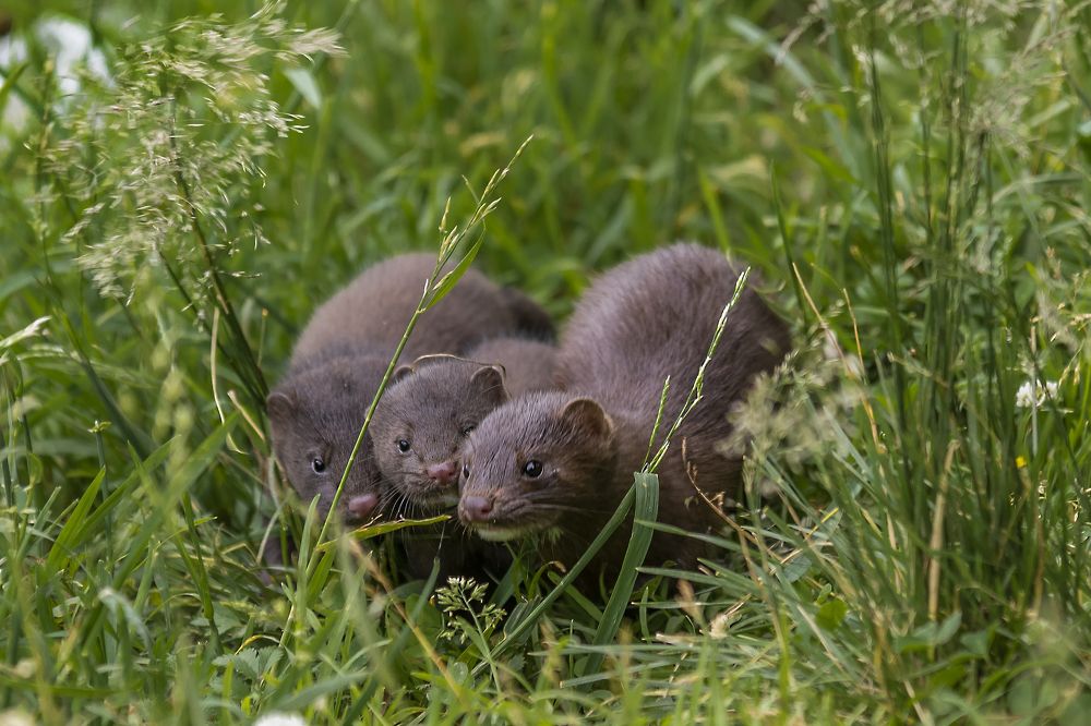 Photograph by Андрей К. Белов