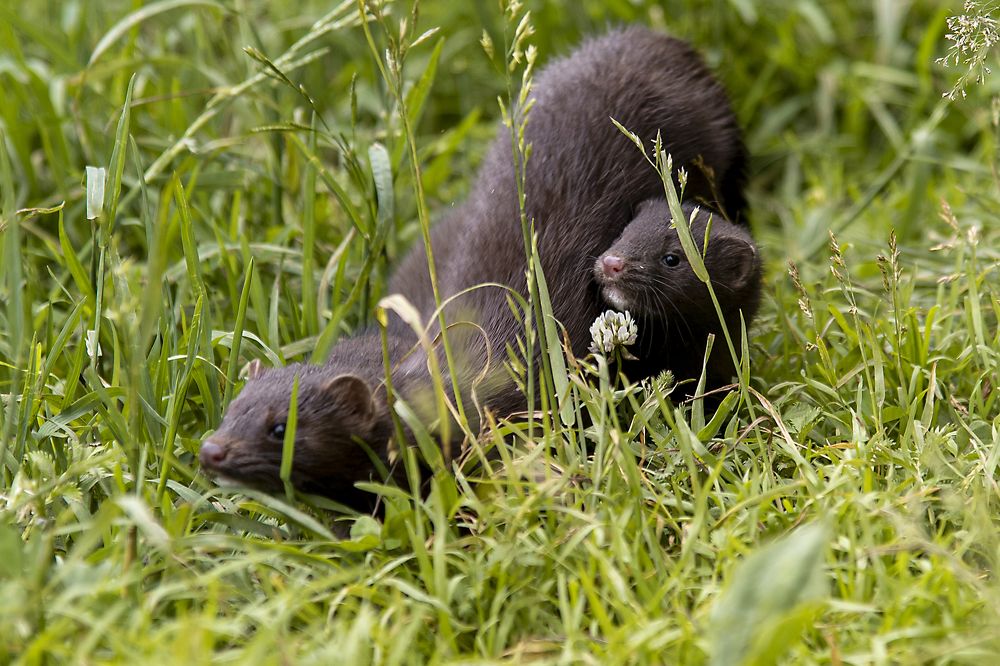 Photograph by Андрей К. Белов