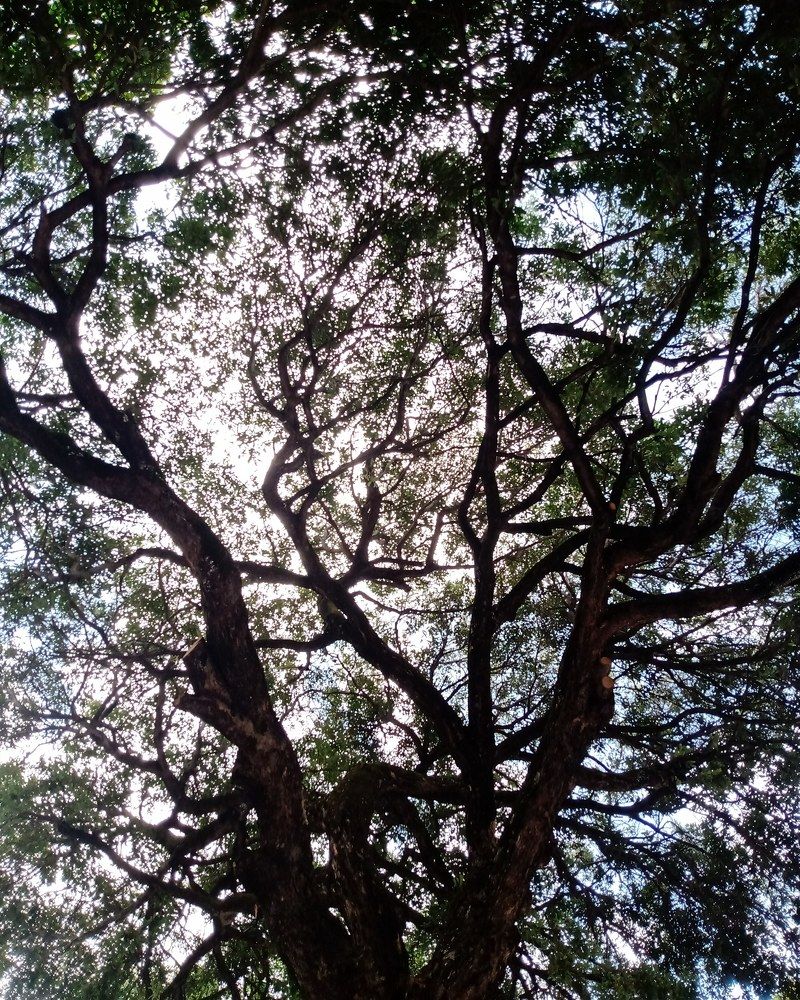 Photograph by Manu Kelé