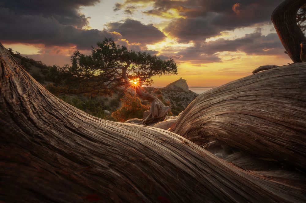 Фотография автора AGIL