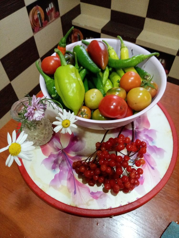 Photograph by Татьяна Пальчикова