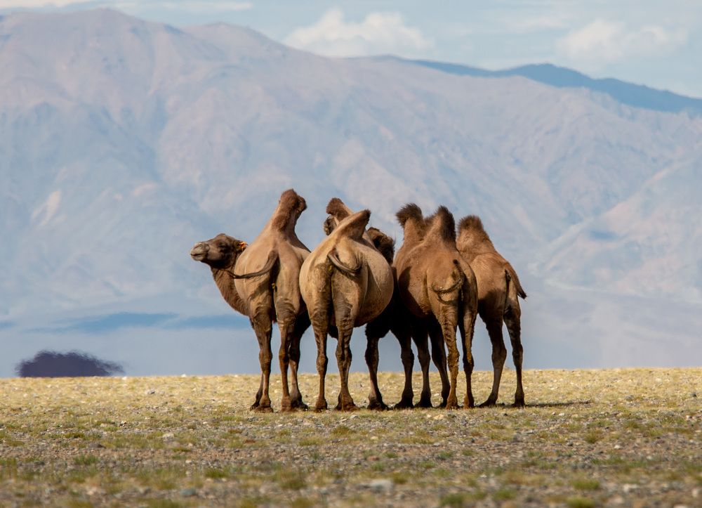 Photograph by Елена Данченко