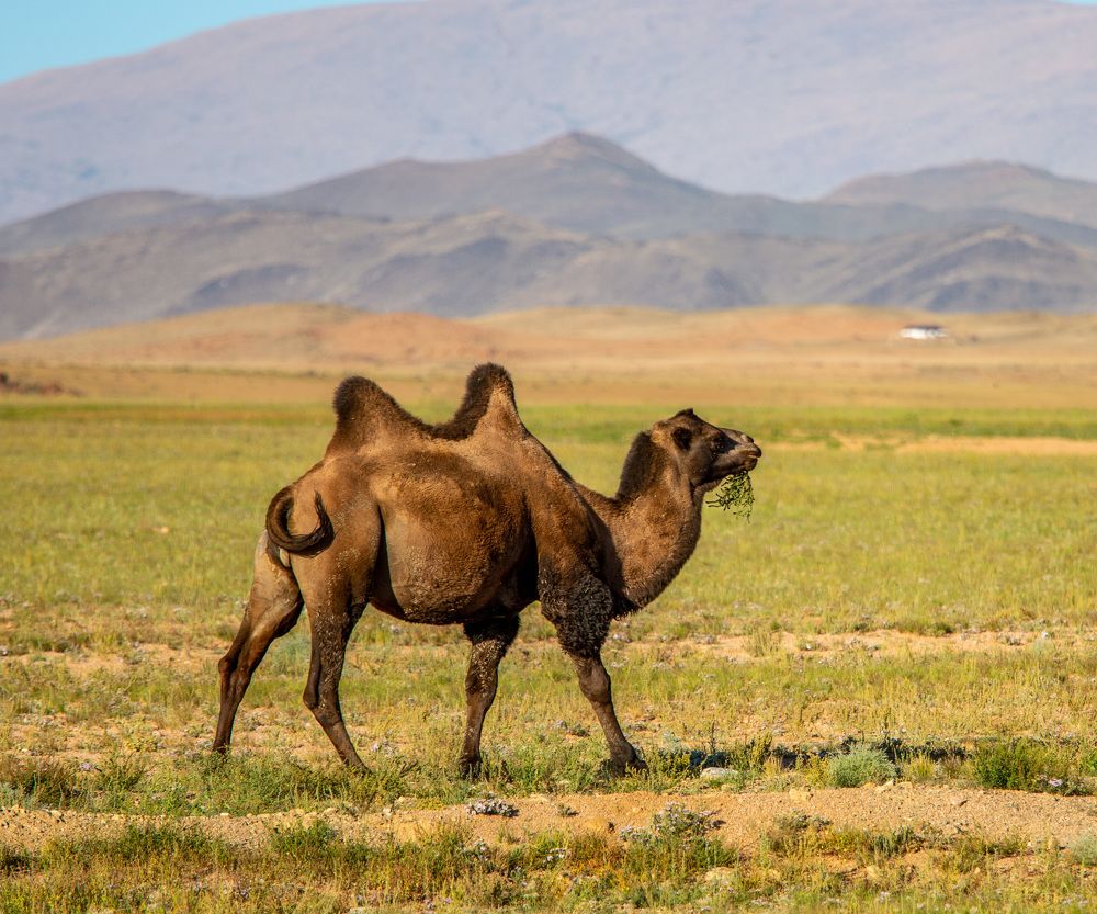 Photograph by Елена Данченко