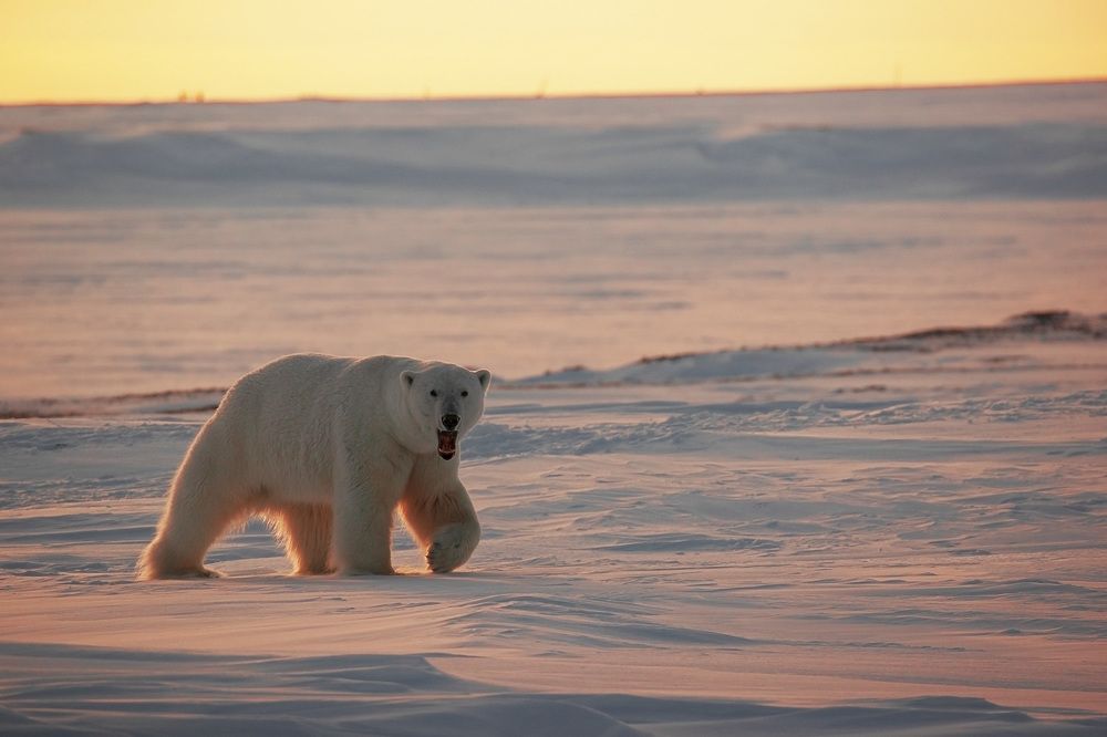 Photograph by Владислав Костылев