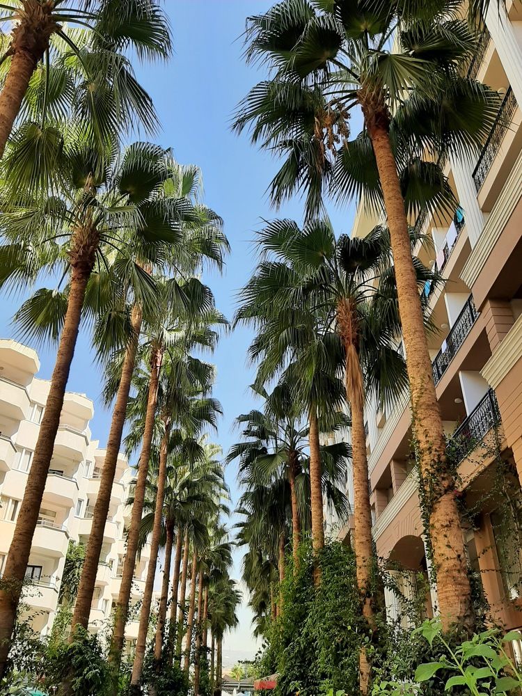 Photograph by Елена Горева