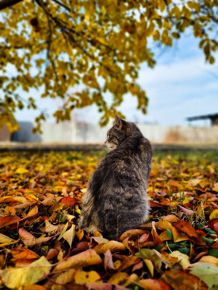 Photograph by Ирина Герлин