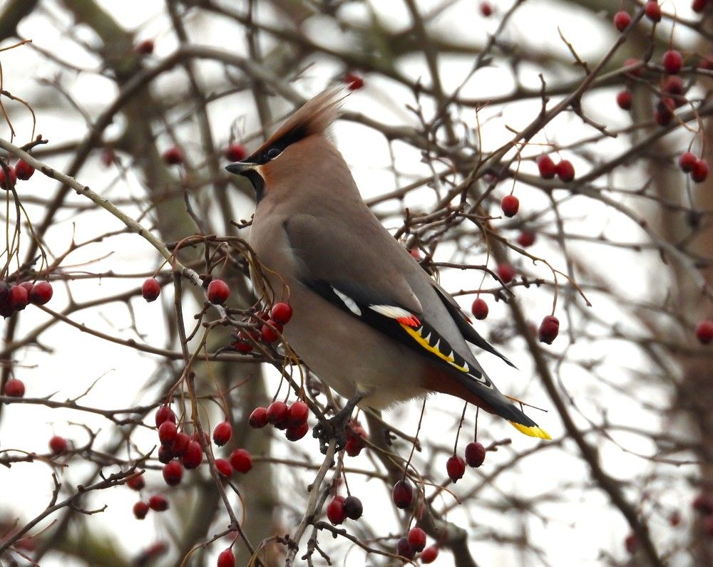 Photograph by Владимир Джерихов