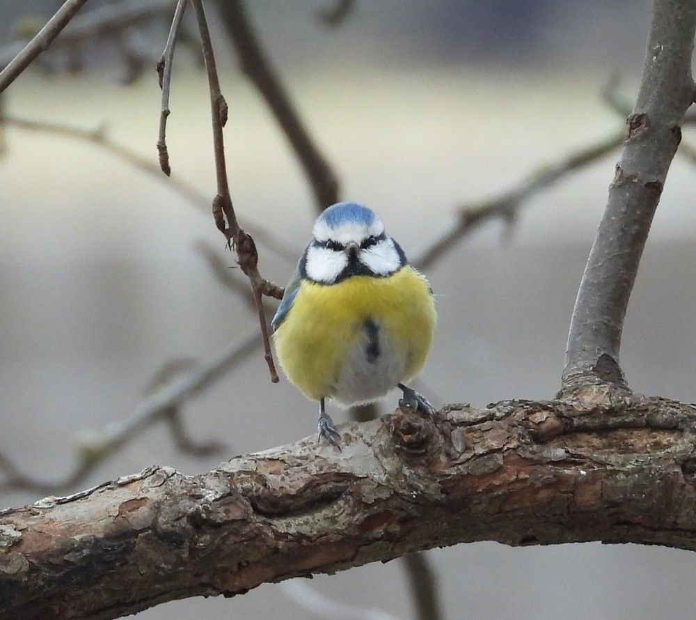Photograph by Владимир Джерихов