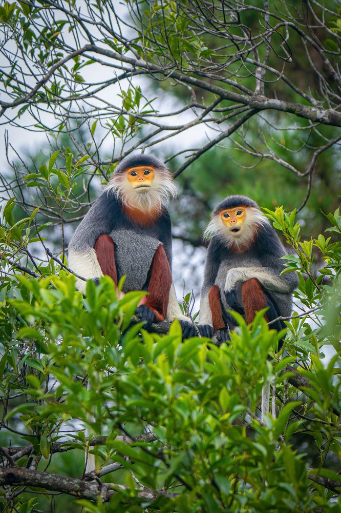 Photograph by Rin Võ