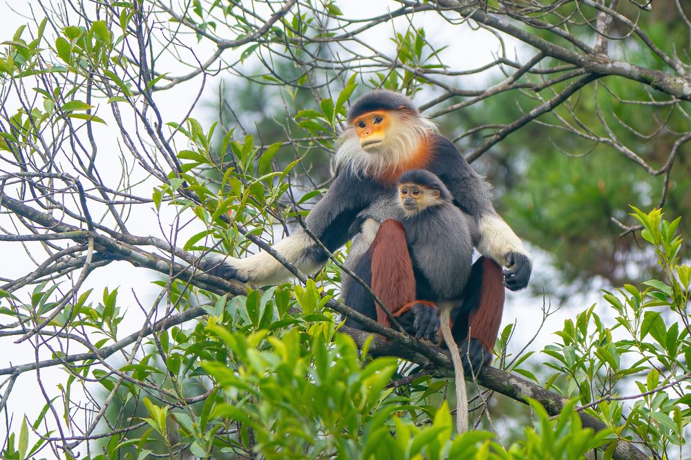 Photograph by Rin Võ