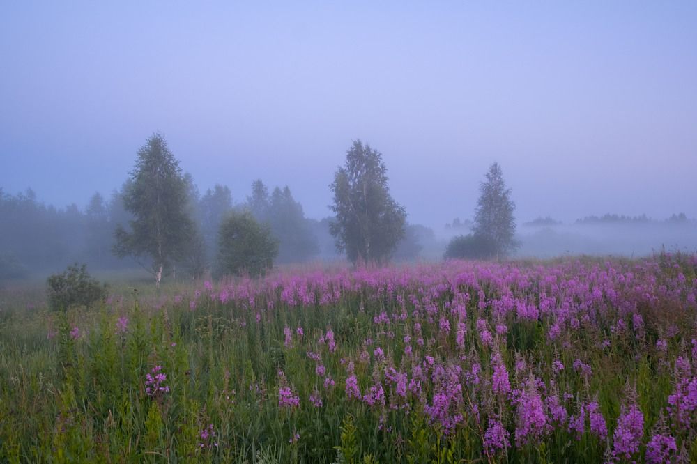 Photograph by Олег Дорошенко