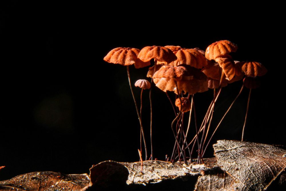 Фотография автора Delvis Romero