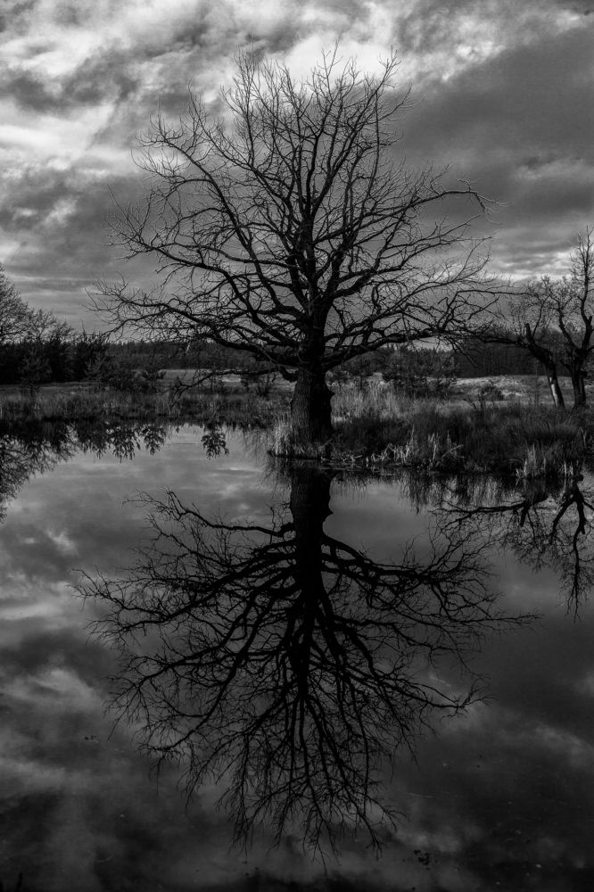 Photograph by Вадим Фаріон