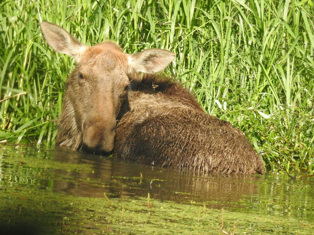 Photograph by Георгий Салюков
