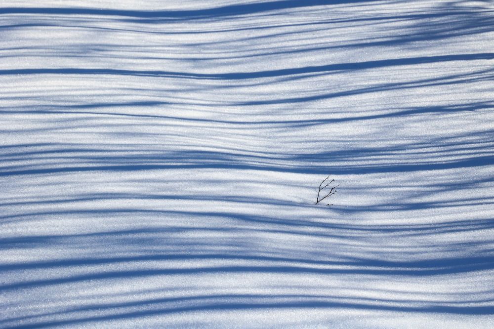 Photograph by Евгений Луцко