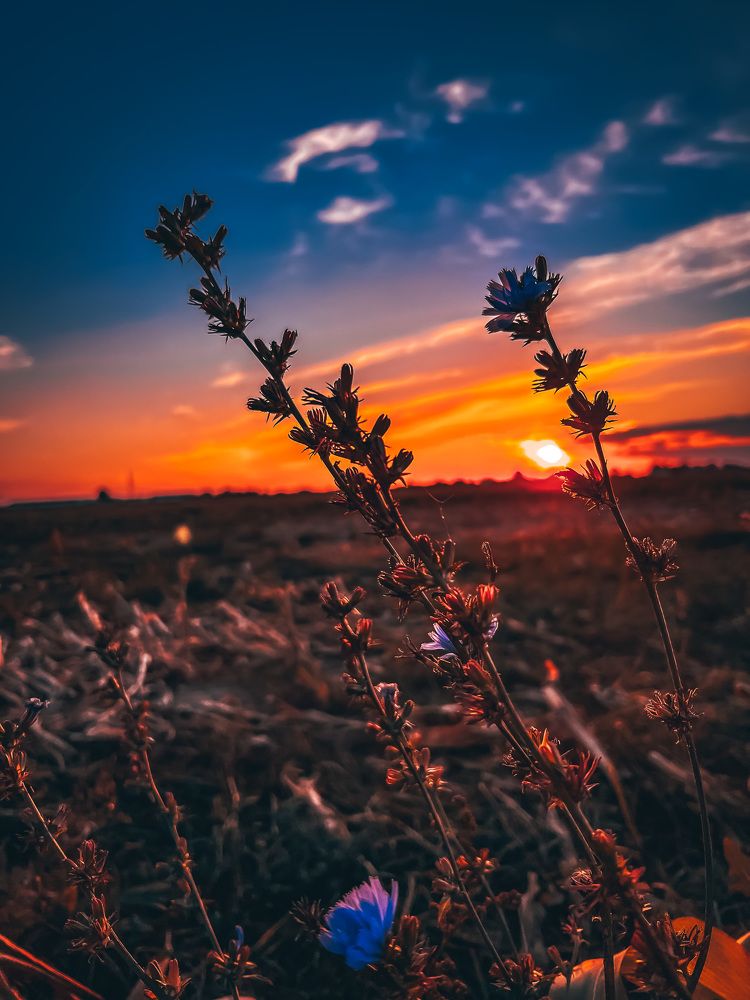 Photograph by Ольга