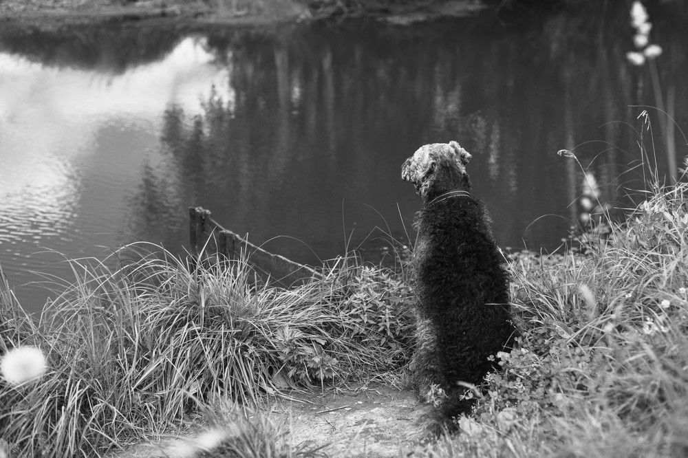 Photograph by Ольга Темкина