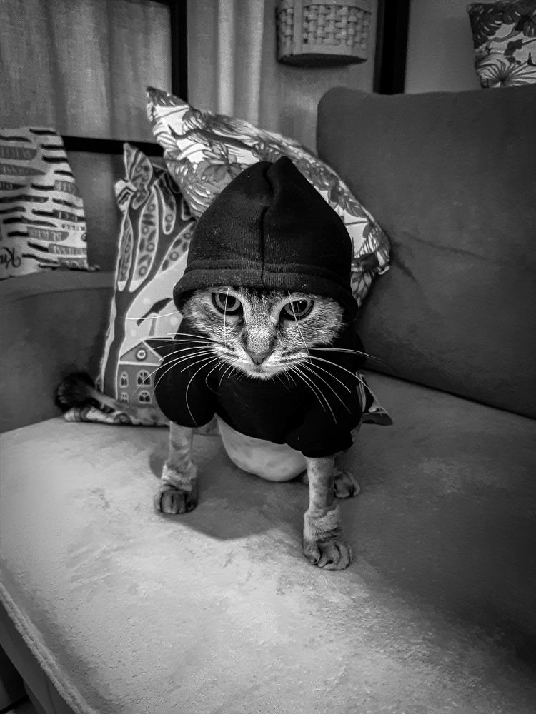 Photograph by Игорь Чечин