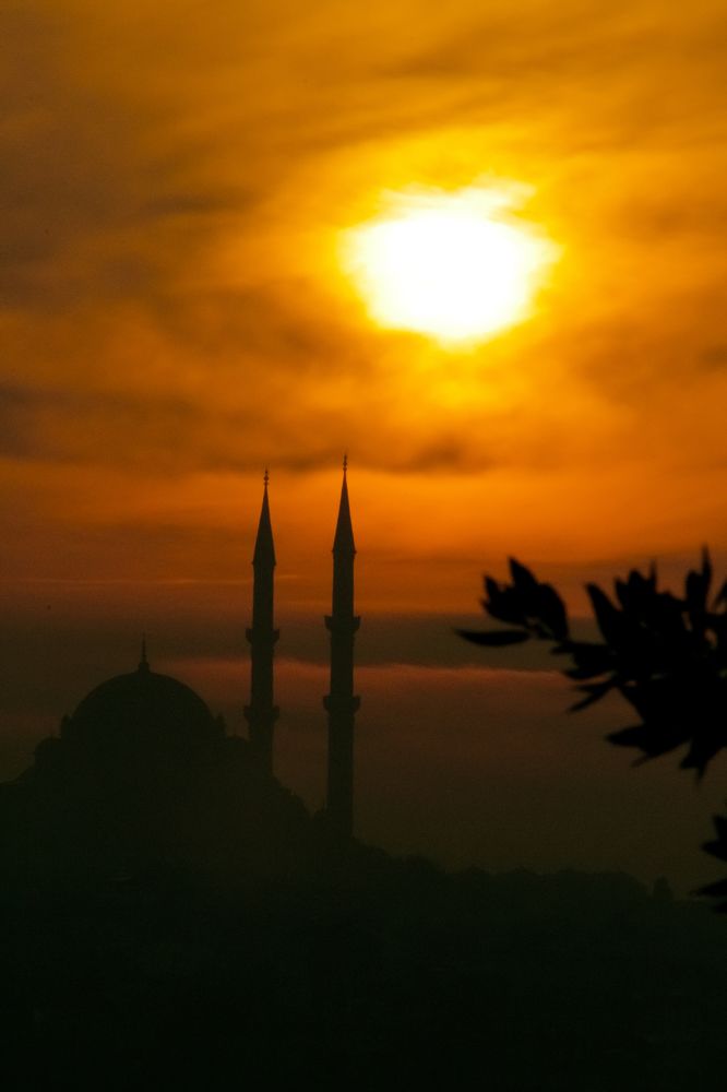 Photograph by Елизавета Цемко