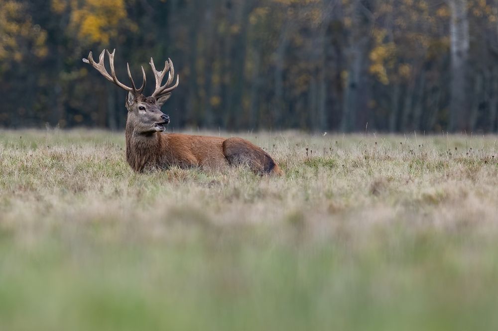 Photograph by Gatis Vilbrants