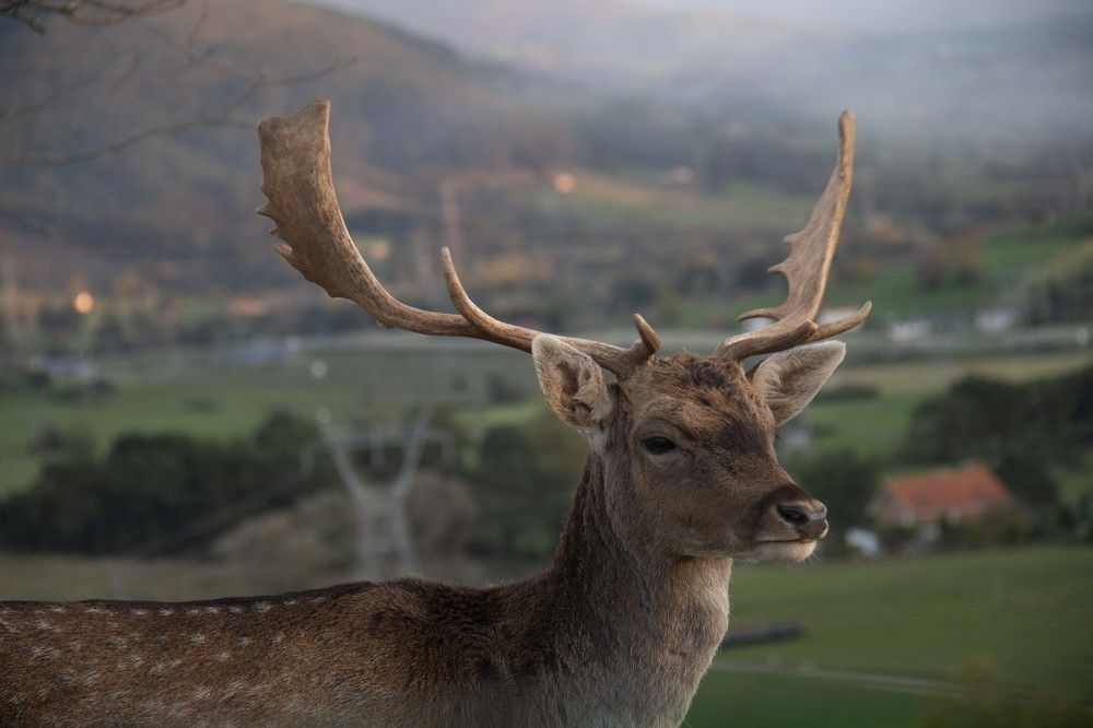 Фотография автора Алексей Головатый