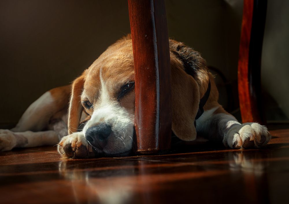 Photograph by Eduardo Machado