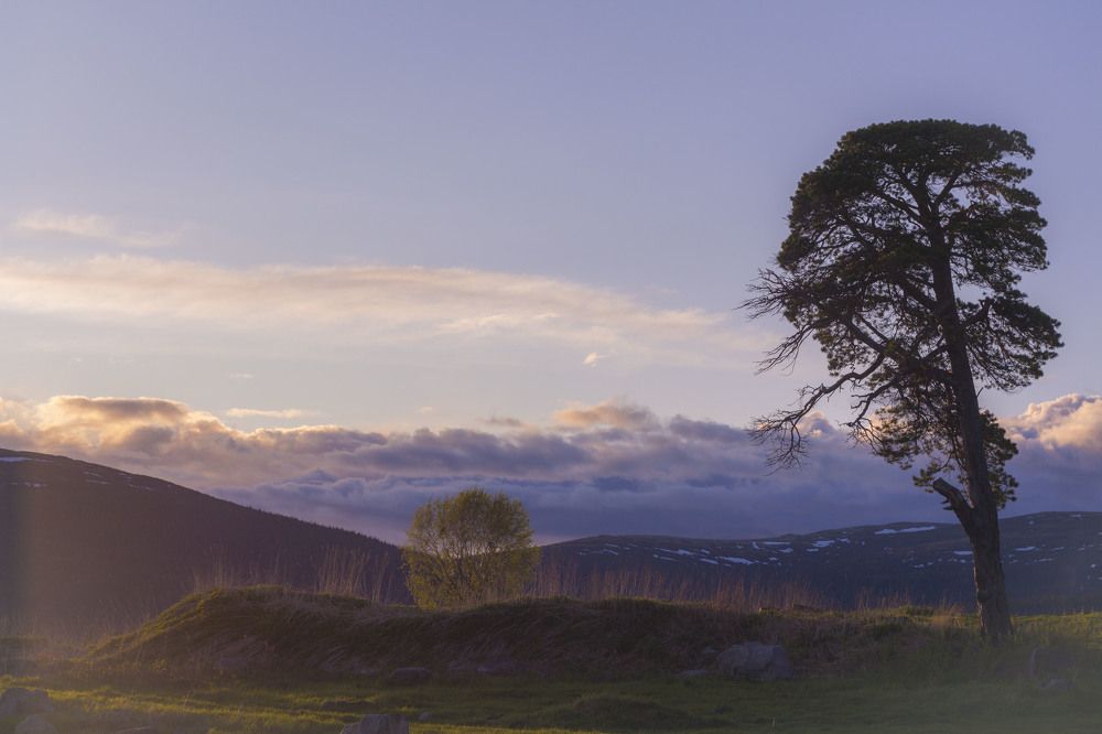 Photograph by Артём Ковалёв