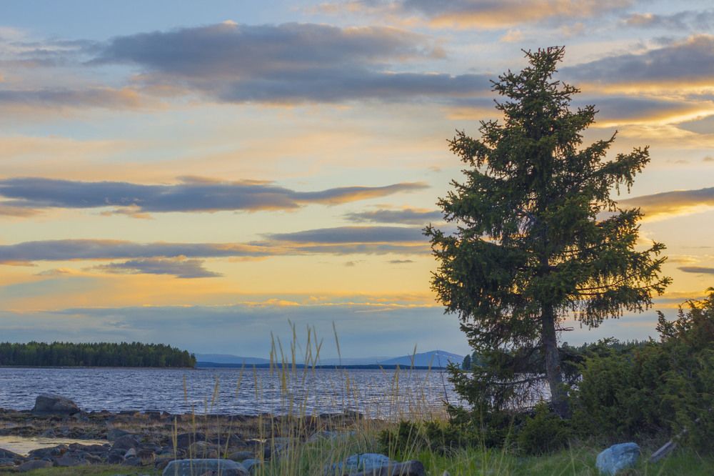 Photograph by Артём Ковалёв