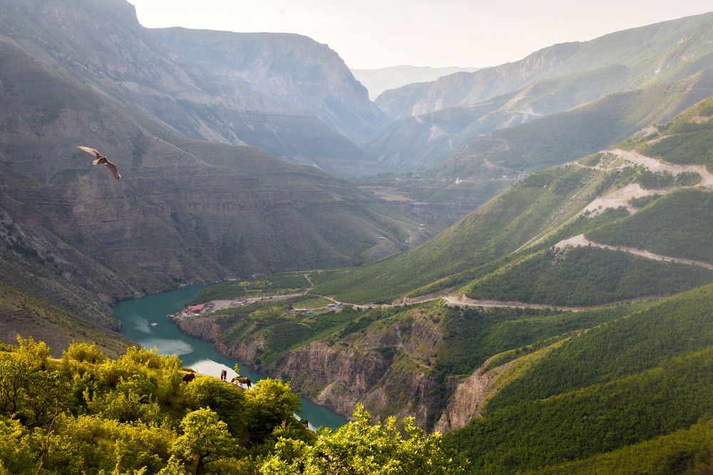 Photograph by Lavskaya Elena