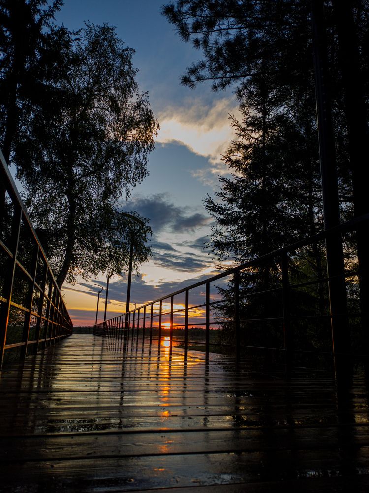Фотография автора Данил Сорокин