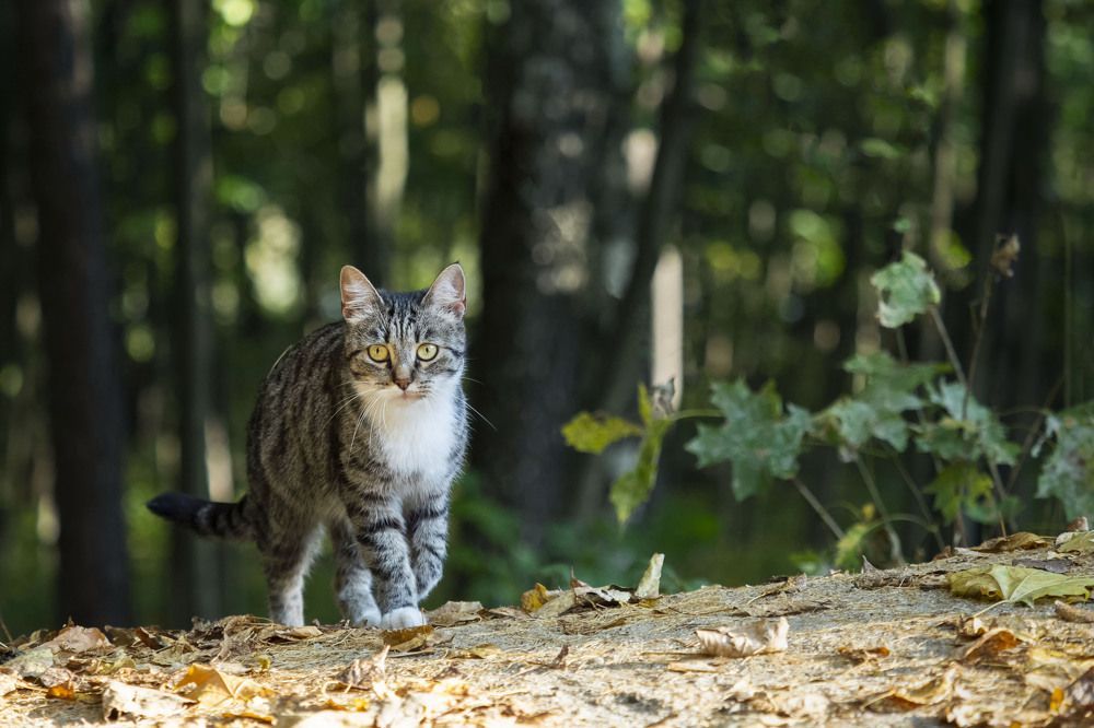 Photograph by Ольга Католичук