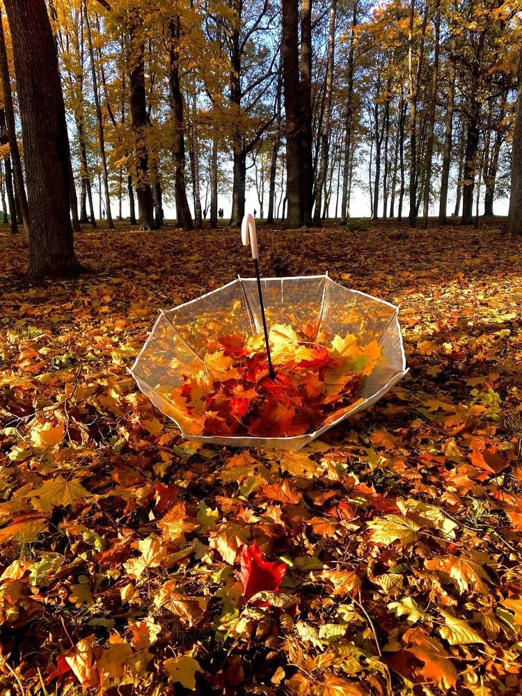 Photograph by Оксана