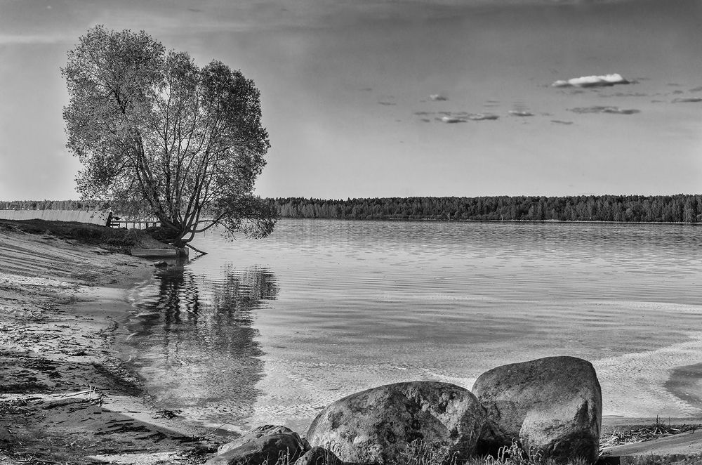 Photograph by Viktor Korotnev