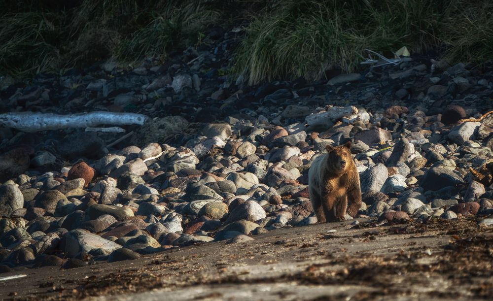 Фотография автора Ivan Godovikov