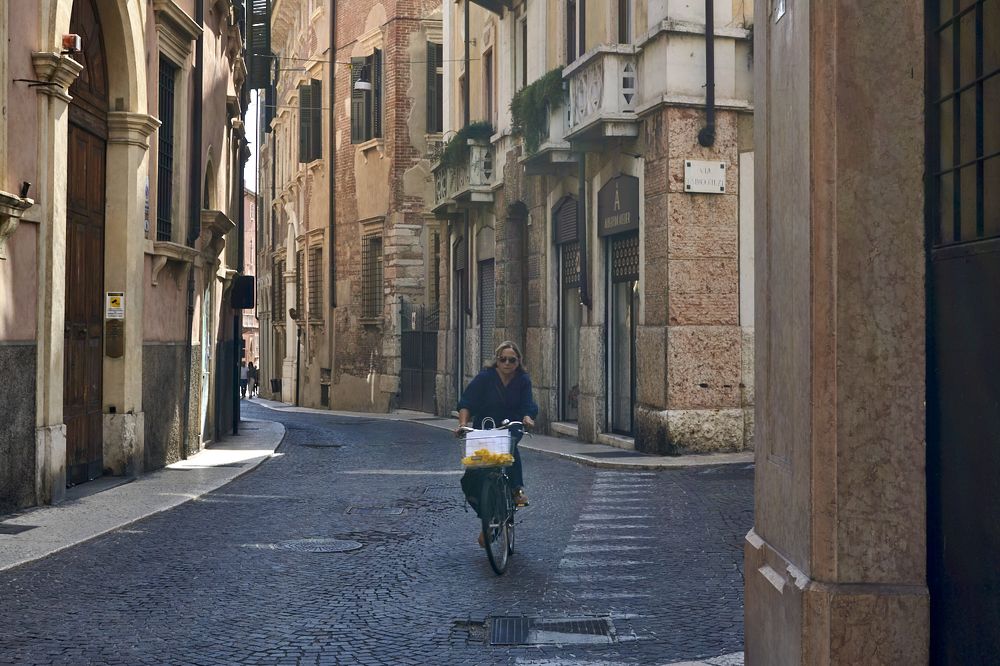 Фотография автора Helio Cucato Júnior