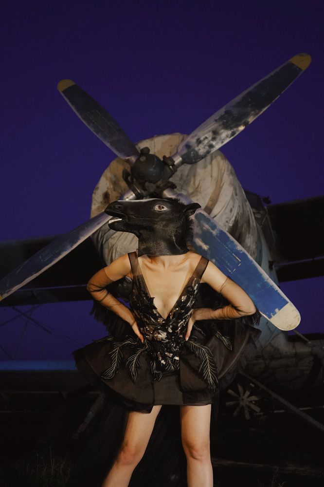 Лошадь Лётчица