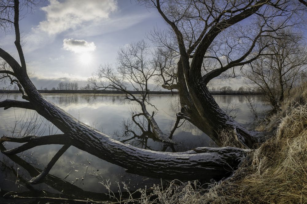 Photograph by Александр Корнейчев